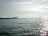 glazic1.JPG (471912 octets)